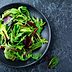 Lettuce 101: Your Guide to the Most Common Lettuce Varieties