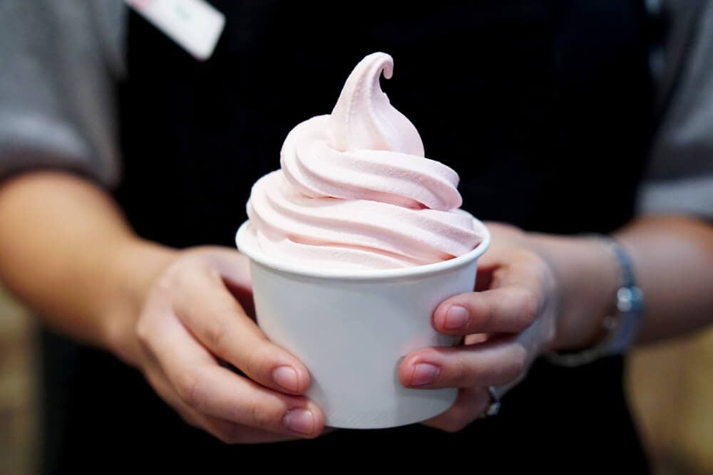 Closeup of woman's hands holding cup with organic frozen yogurt Ice cream served in a plastic takeaway