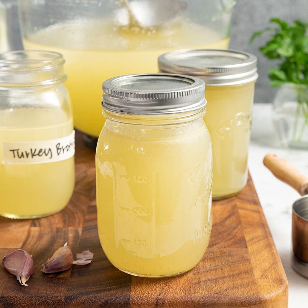 Turkey Stock