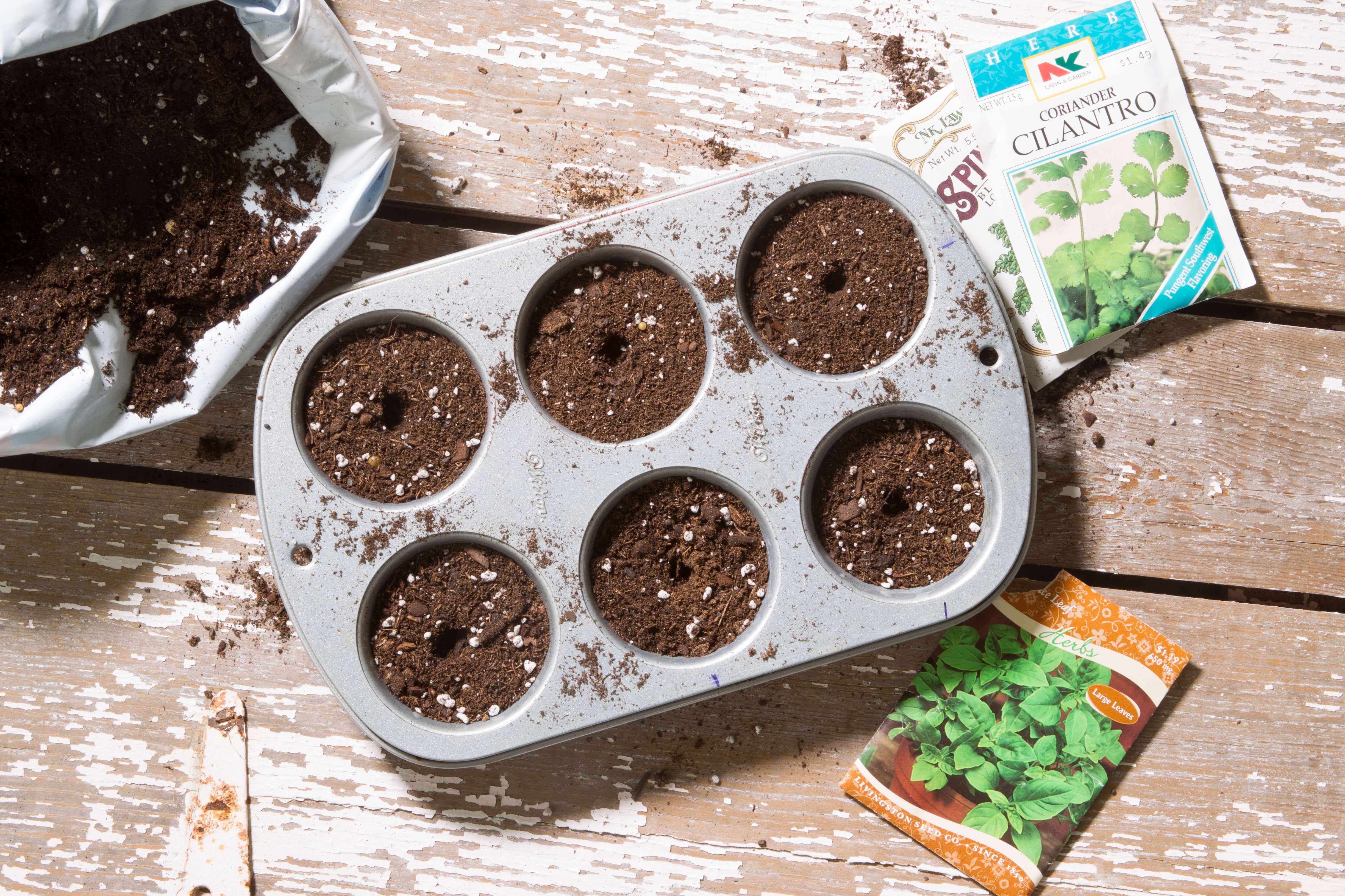 muffin tin