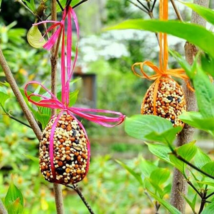Bird Feeder