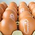 Everything You Need to Know About Salmonella