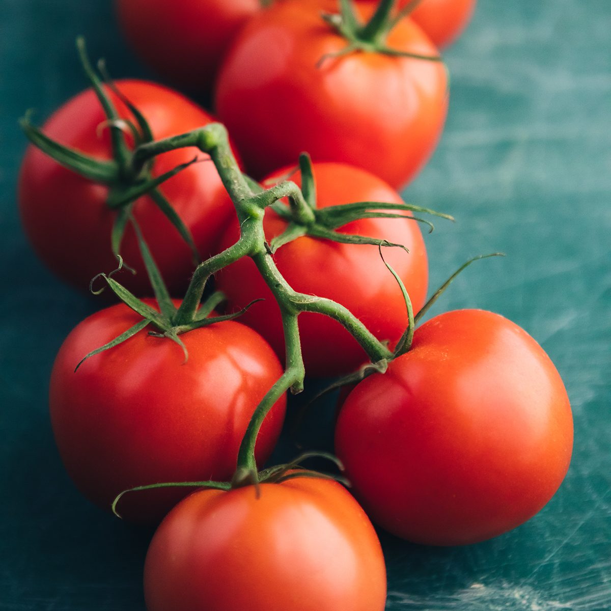 Fresh Tomatoes