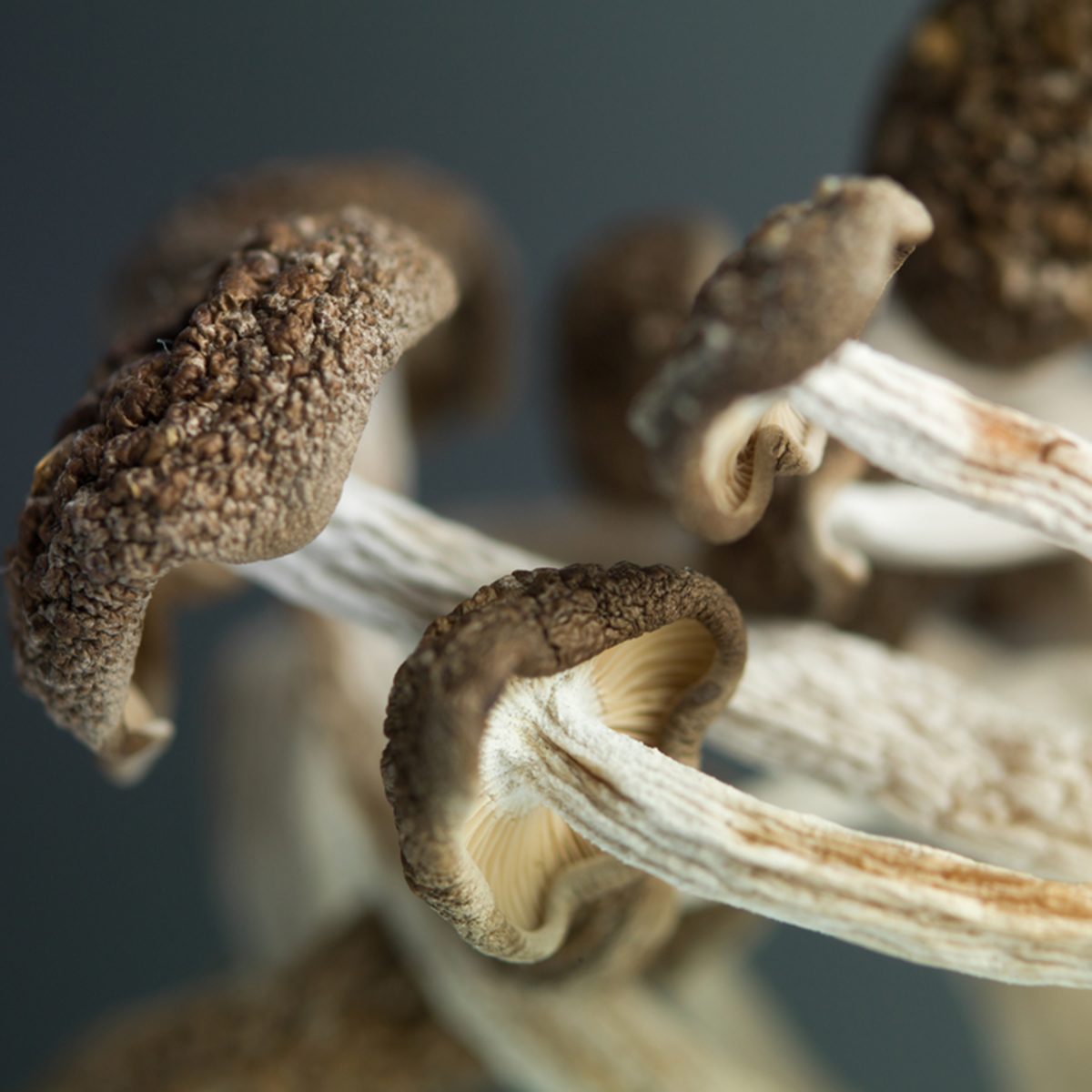 mushrooms