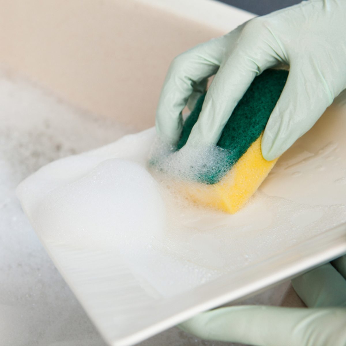 Closeup Of Young Woman Washing Plate In Kitchen; Shutterstock ID 148463402; Job (TFH, TOH, RD, BNB, CWM, CM): TOH