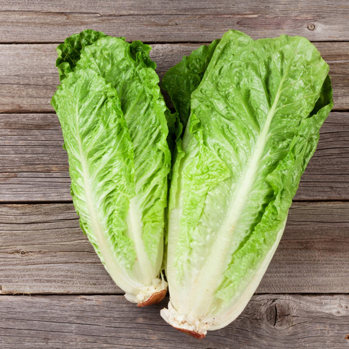 Fresh Romano salad on wooden table.