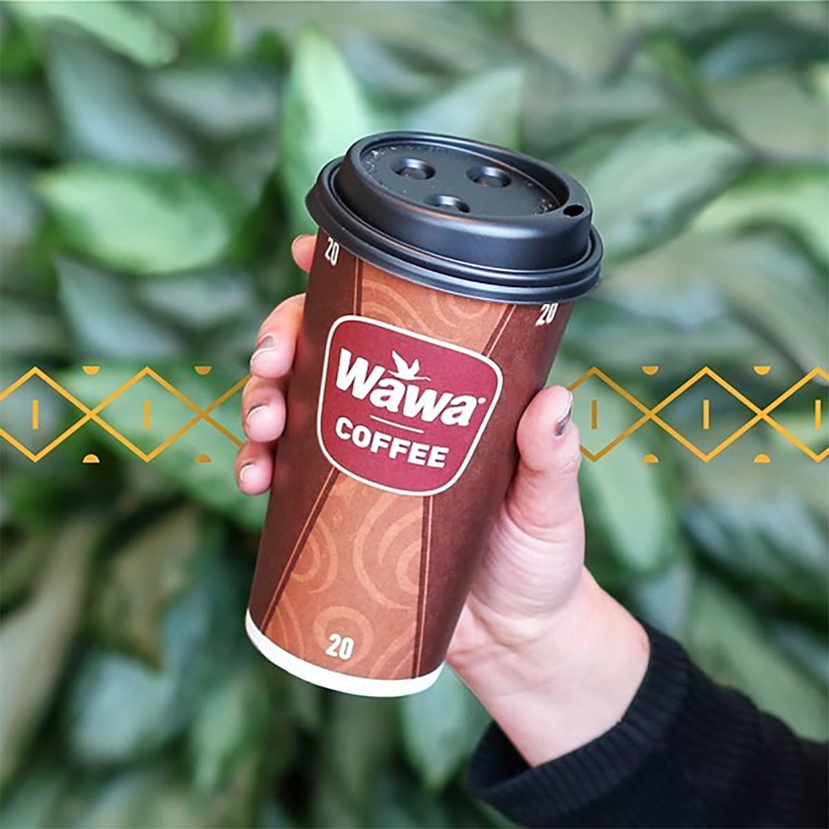 hot wawa coffee