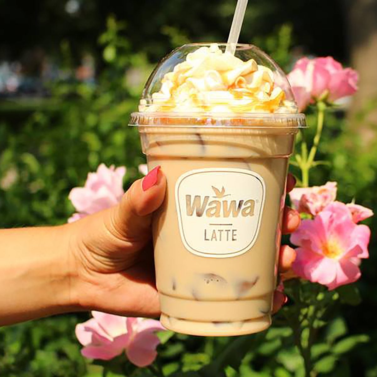wawa iced coffee