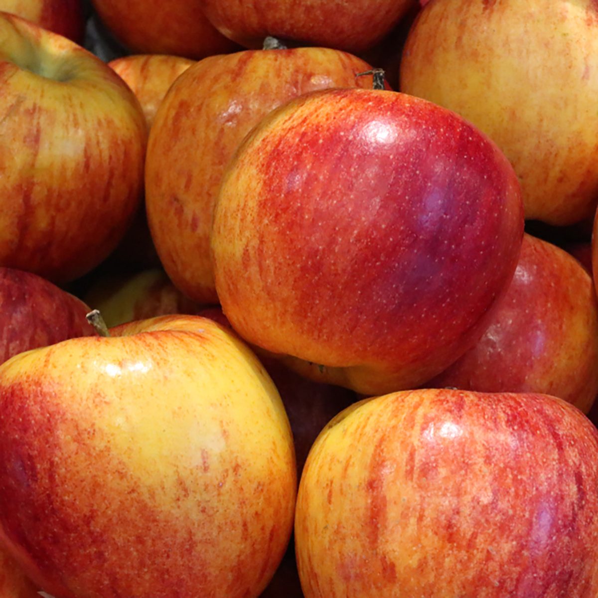Premium Envy Apples