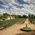 The Best Winery in Every State