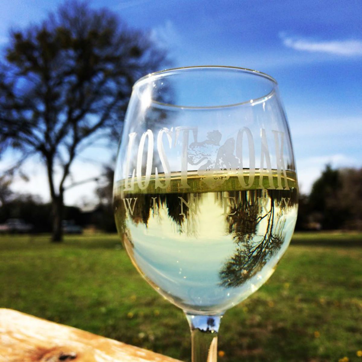Lost Oak Winery