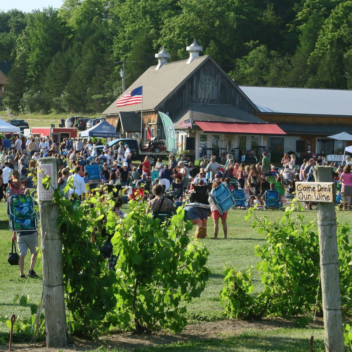 Snow Farm Vineyard