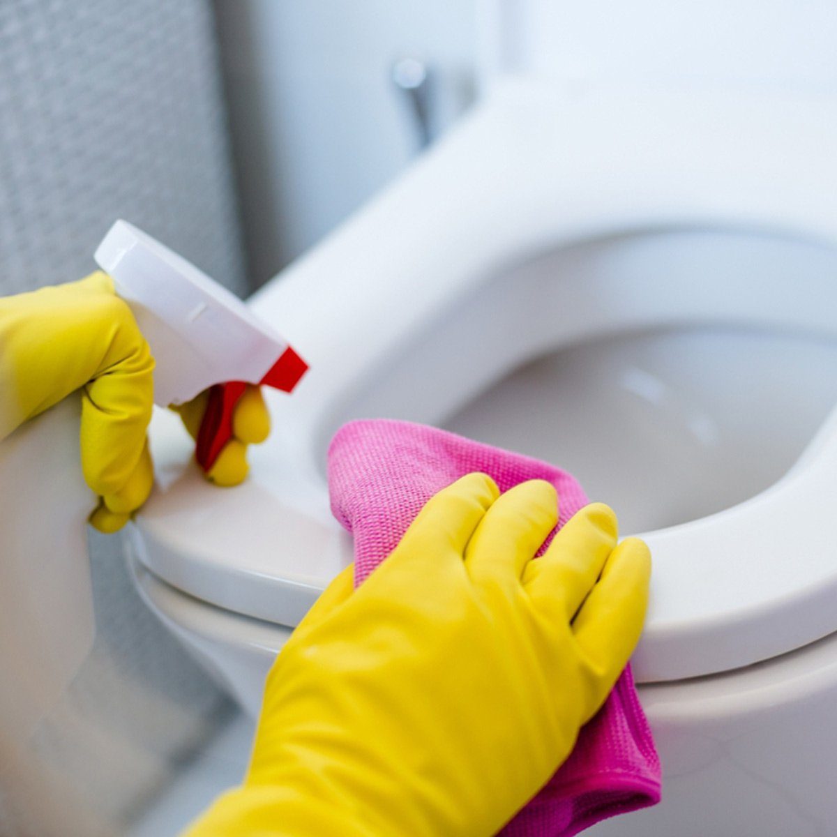 Cleaning toliet