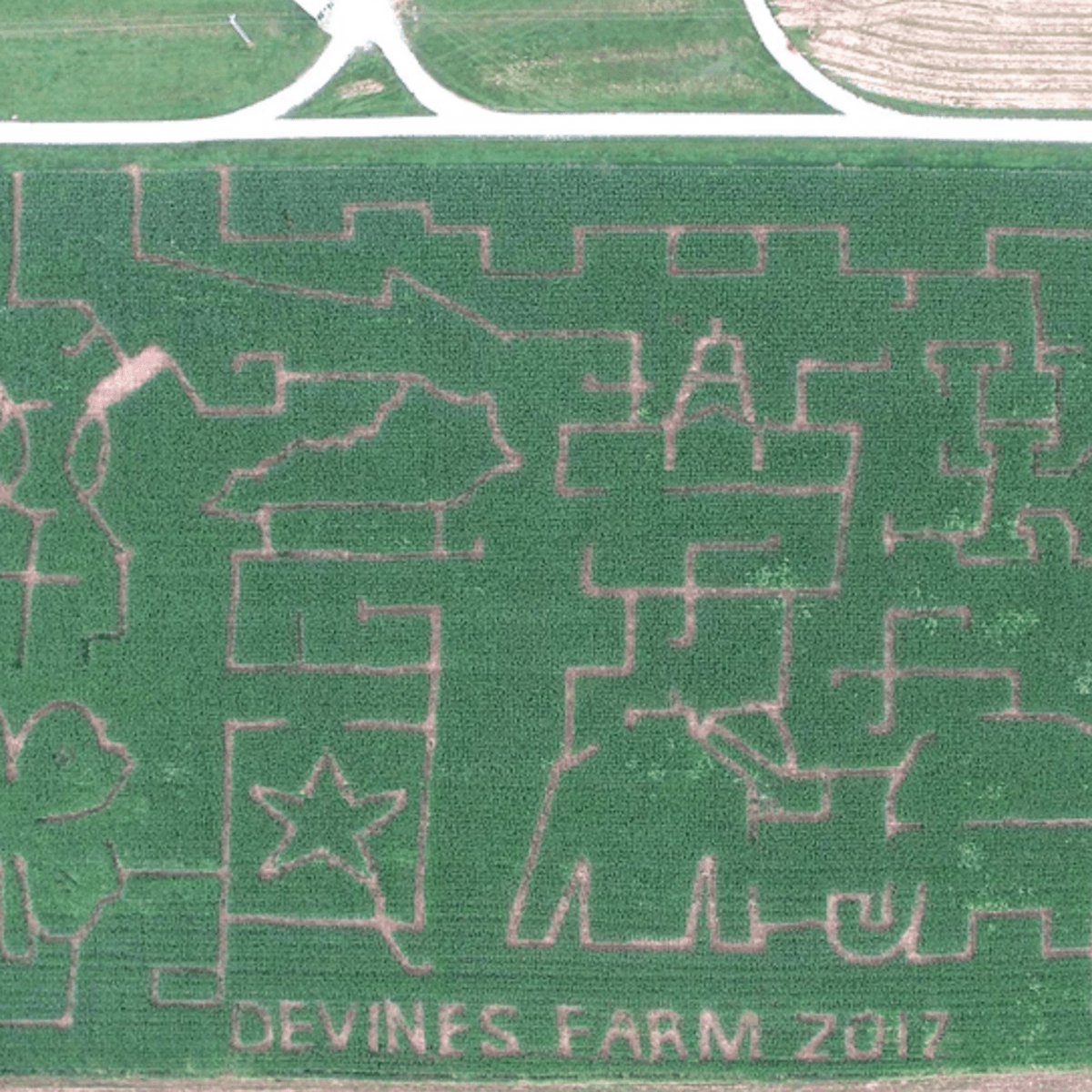 Devine