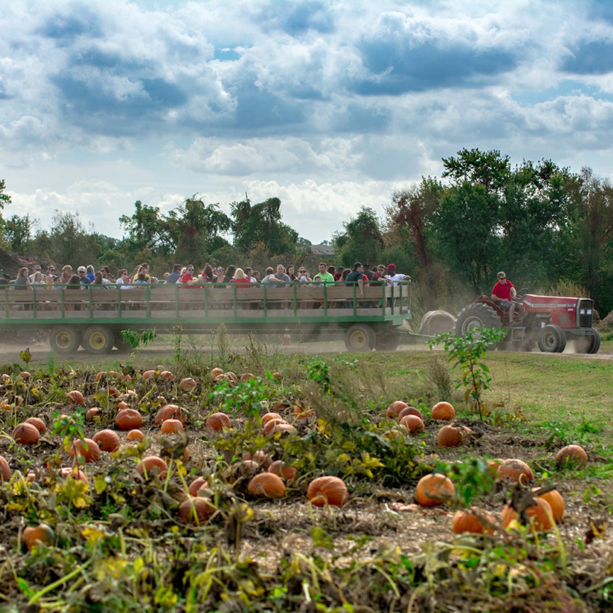 Shady Brook Farm