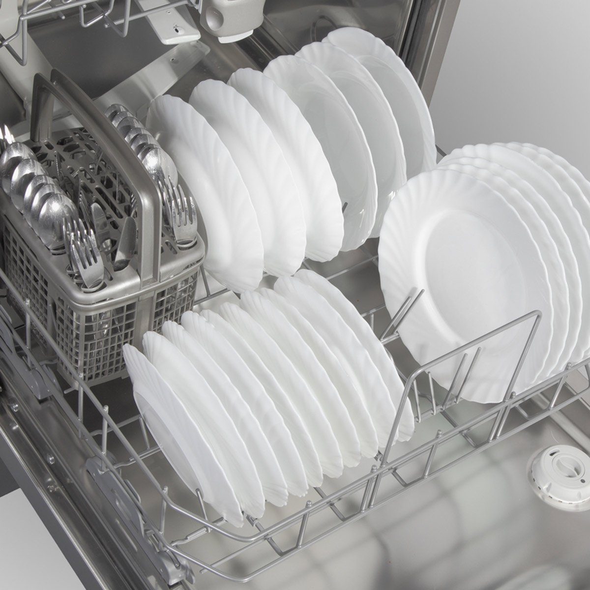 Dinner plates
