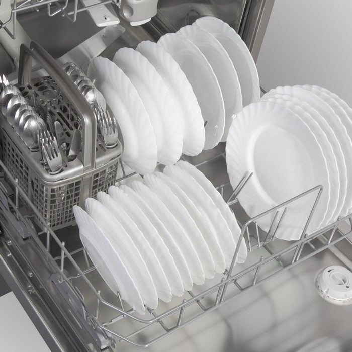 Dinner plates