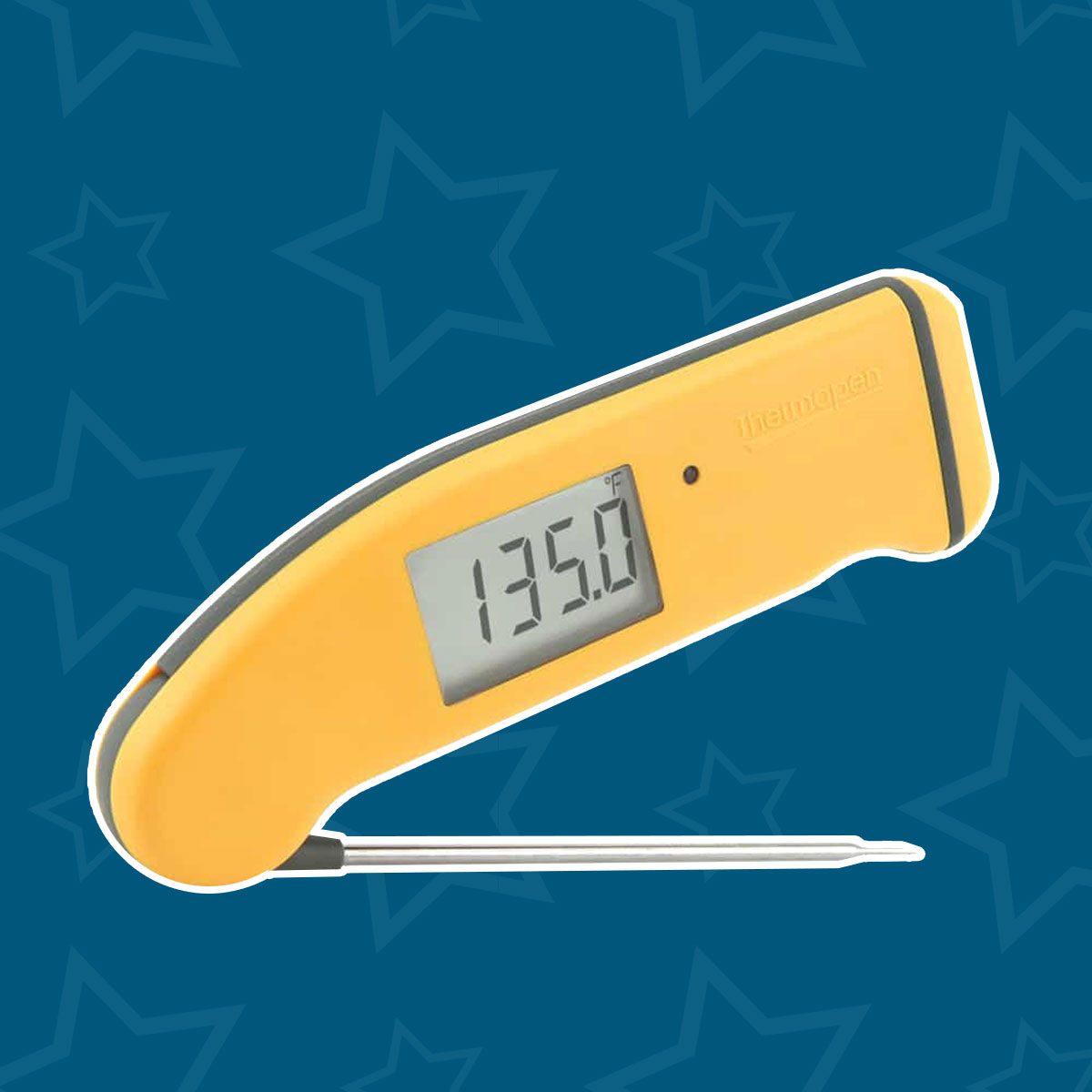 Thermapen