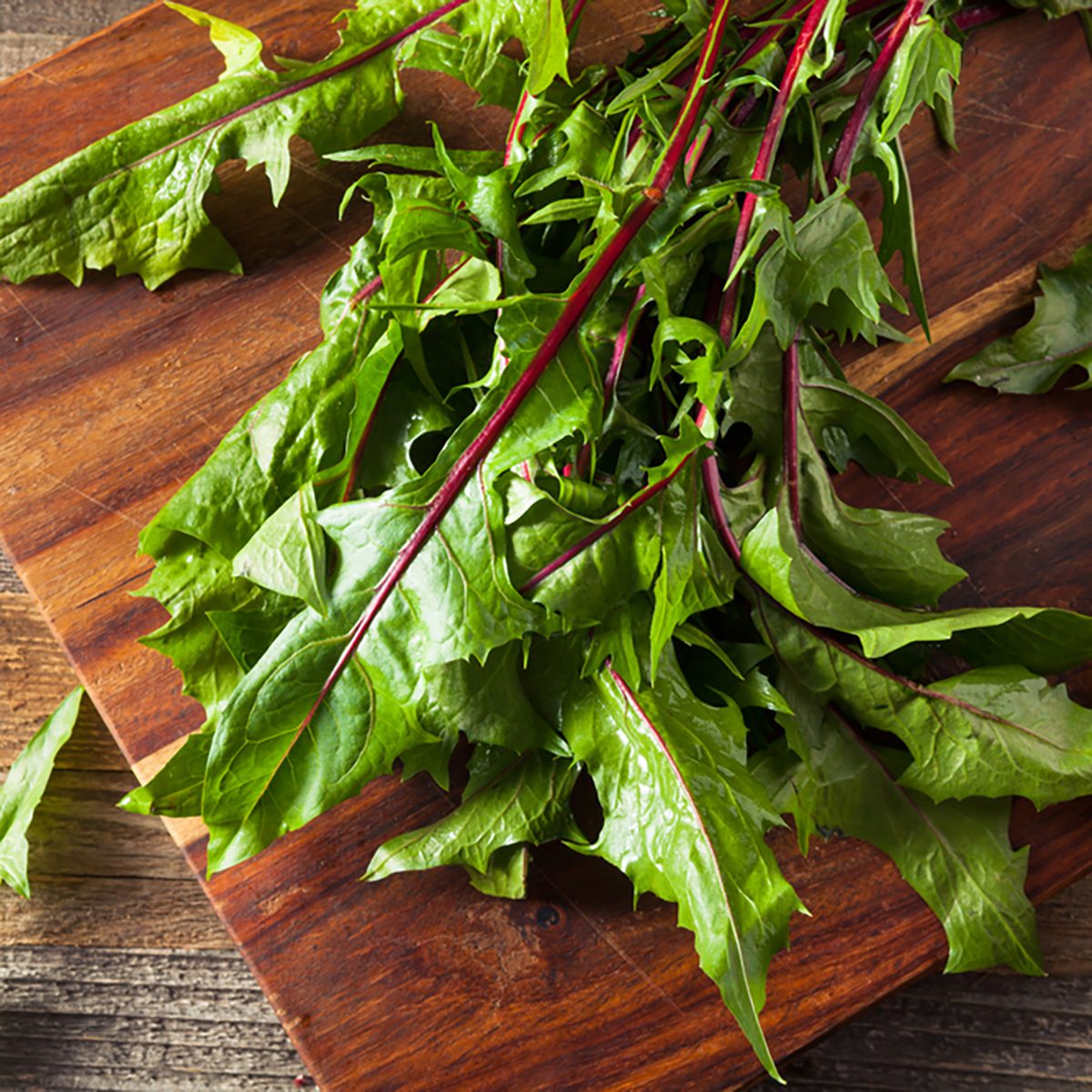 Raw Organic Red Dandelion Greens