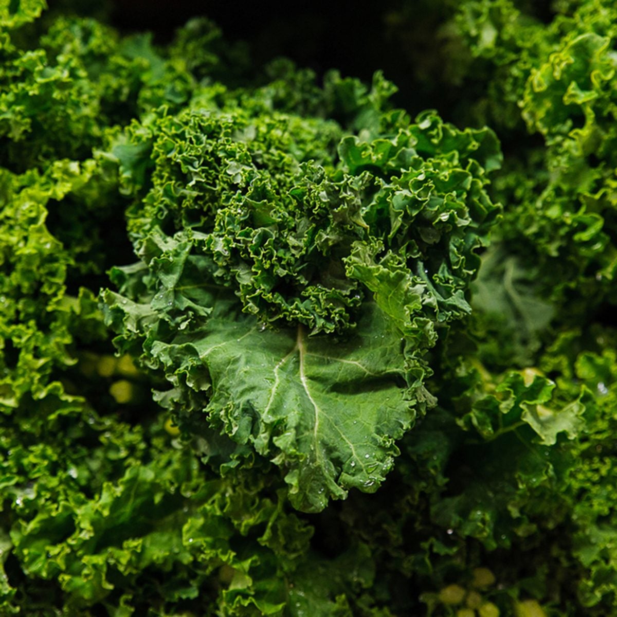 Kale