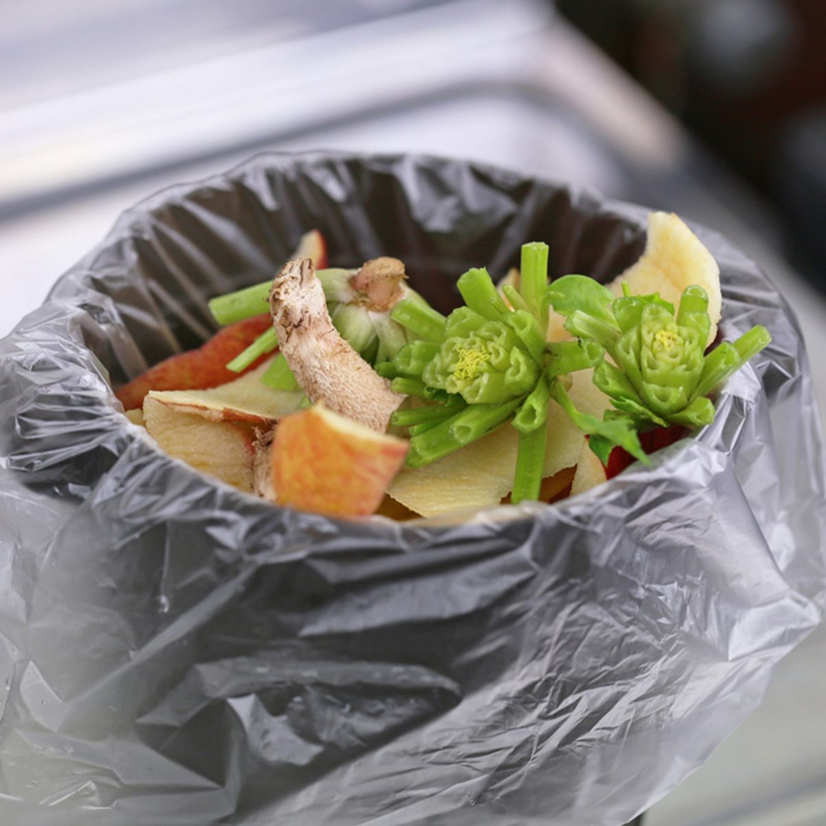 Kitchen garbage