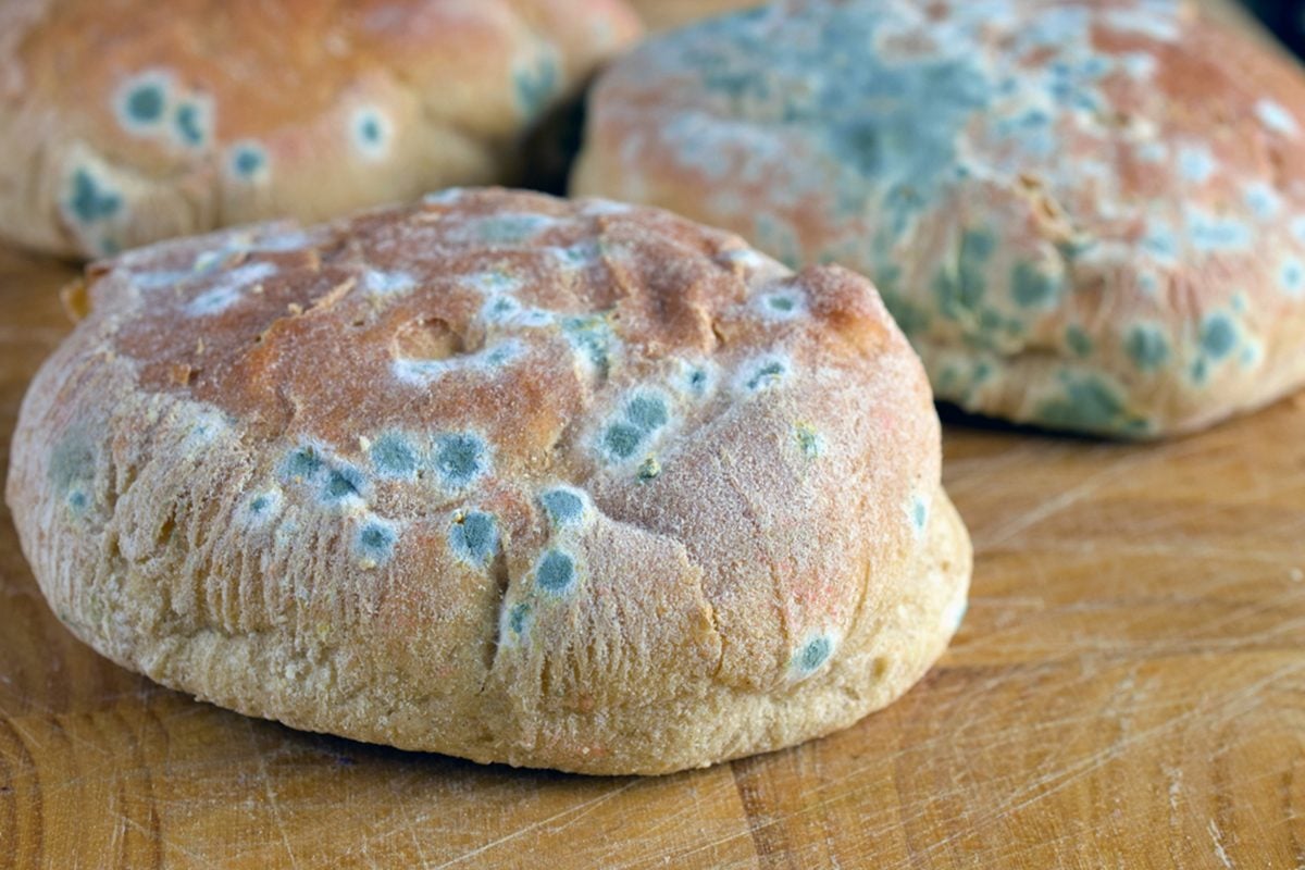 The One Place You’re Forgetting to Check Your Bread for Mold
