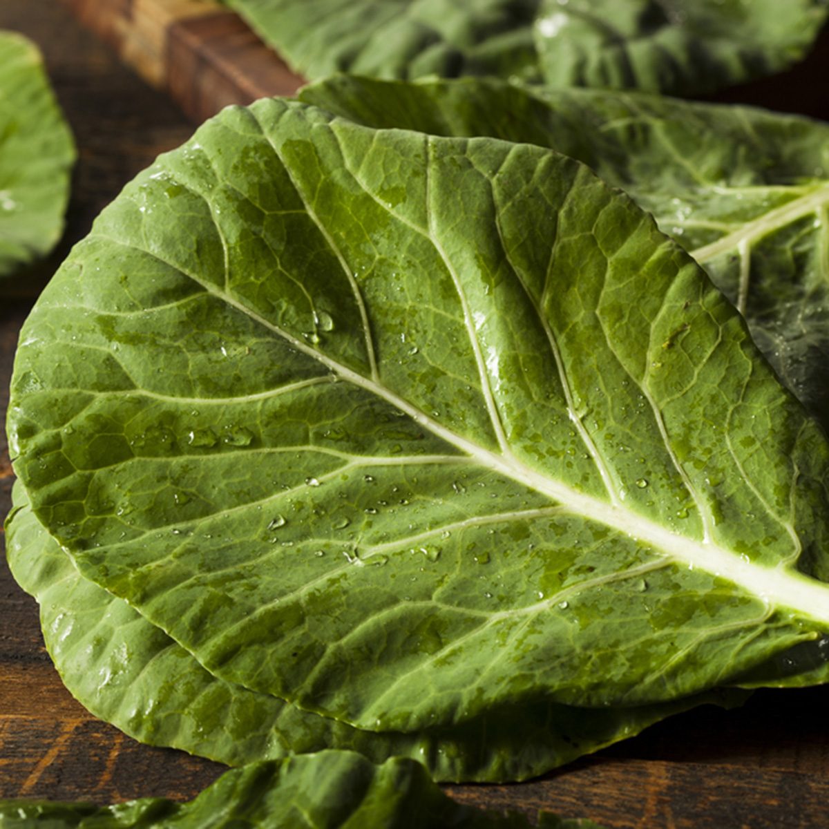 Collard Greens on a Background