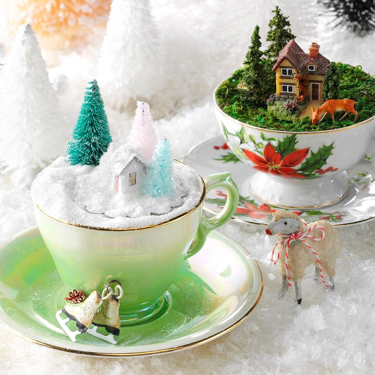 teacup display
