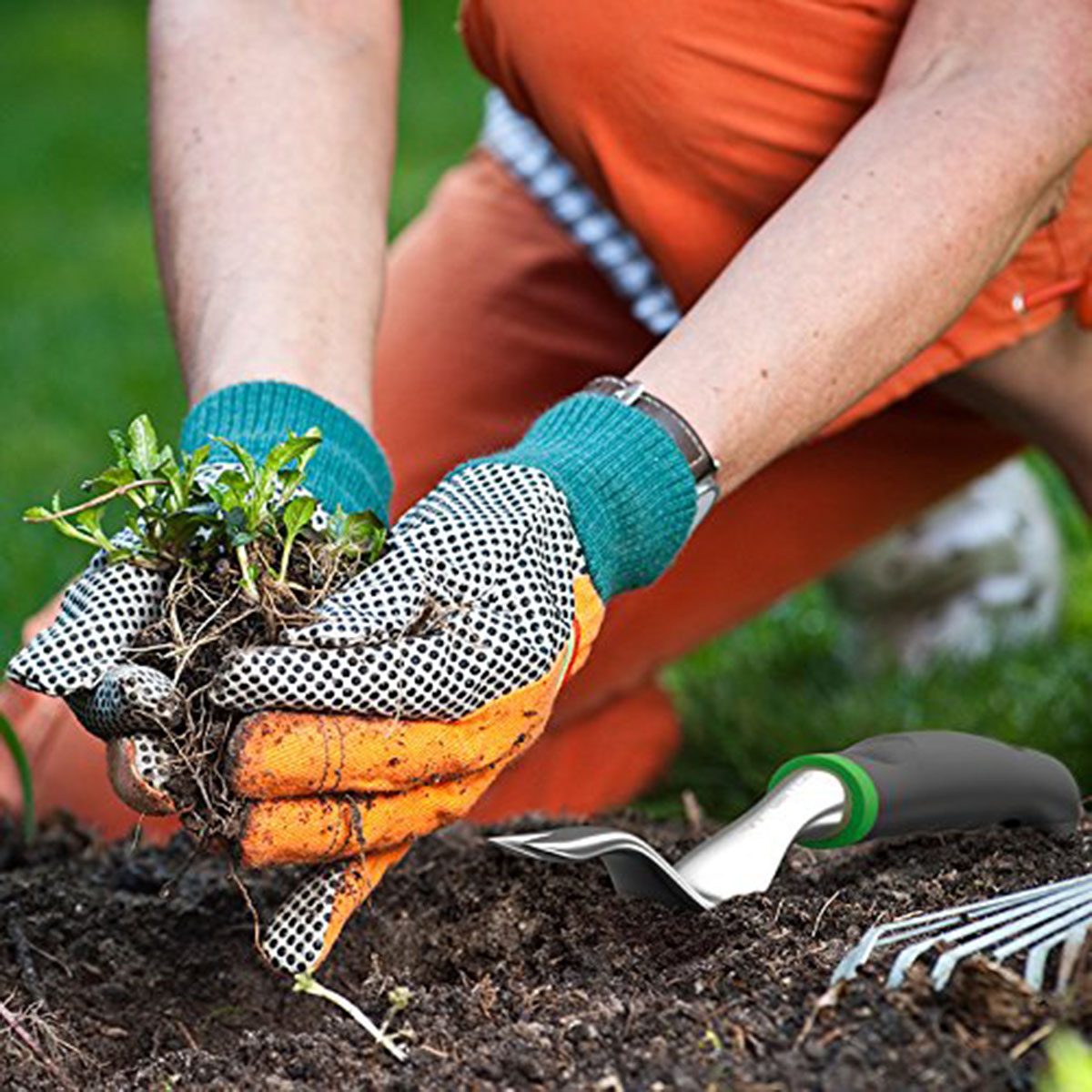 garden tools