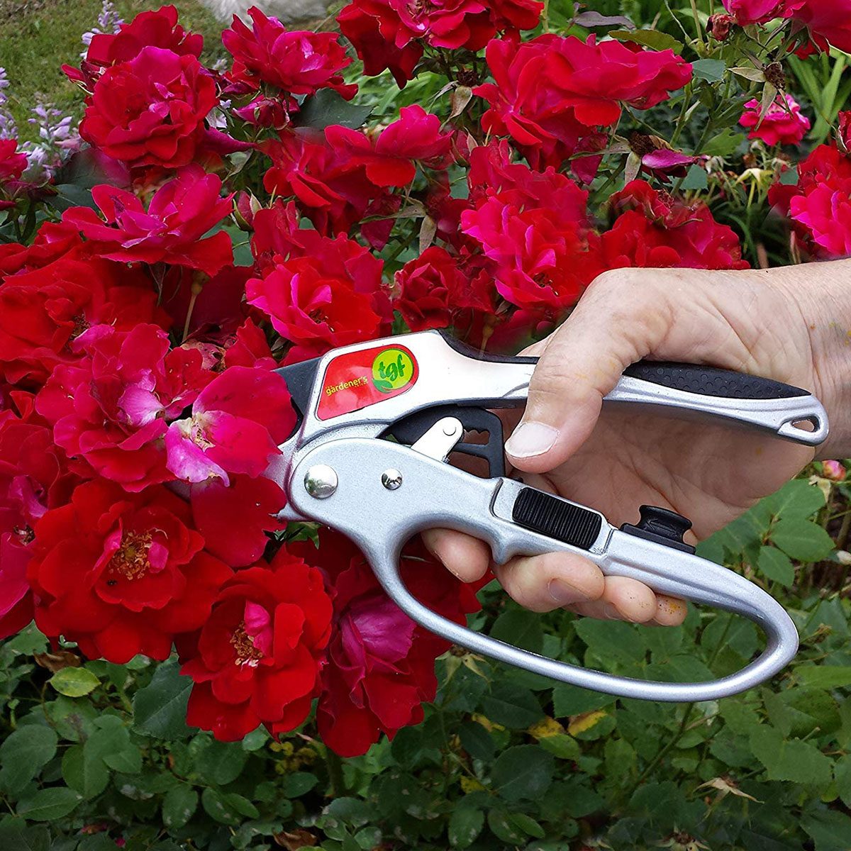 garden tools