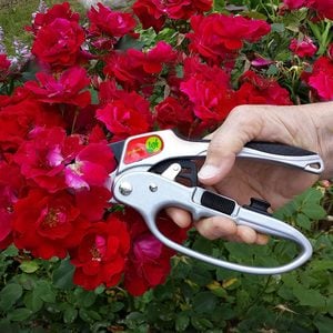 garden tools