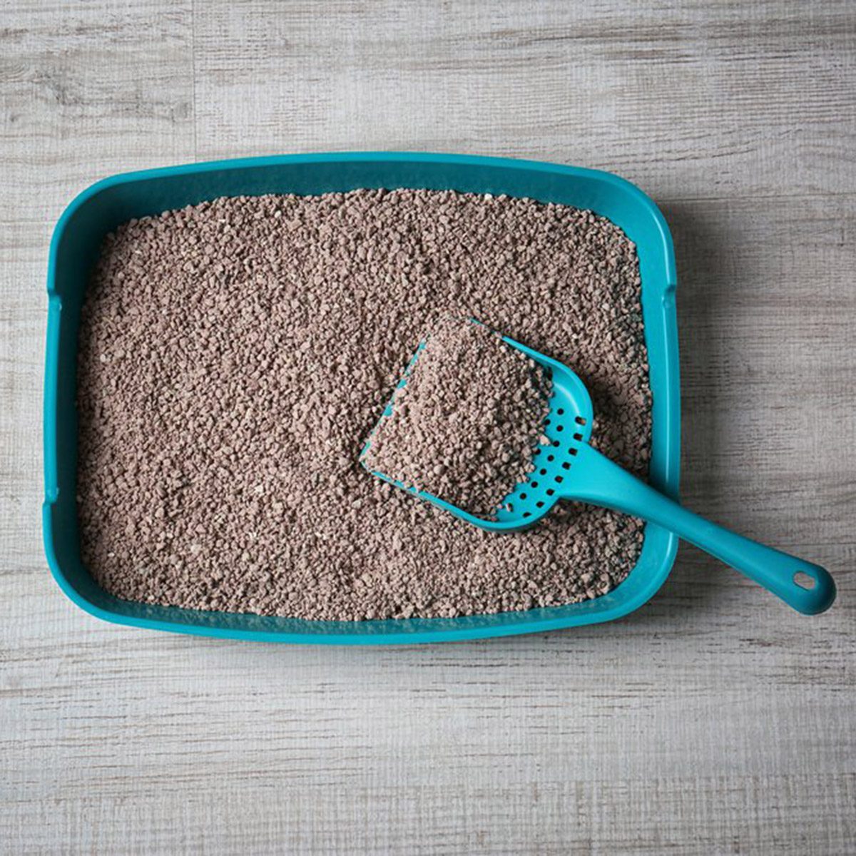 Cat litter