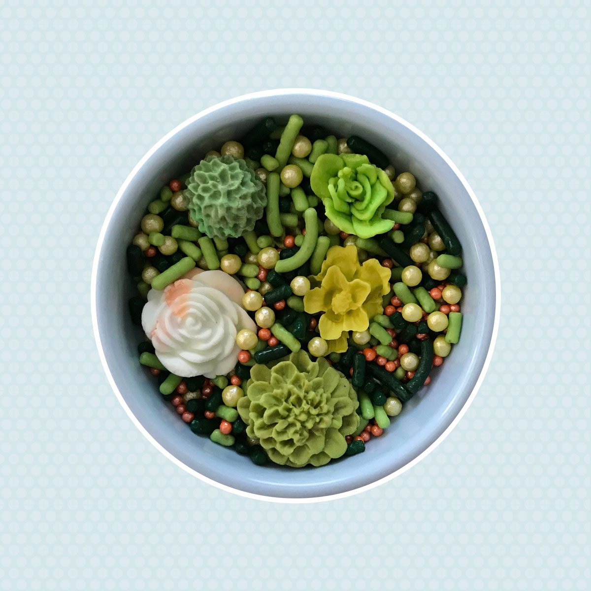Fondant Succulents