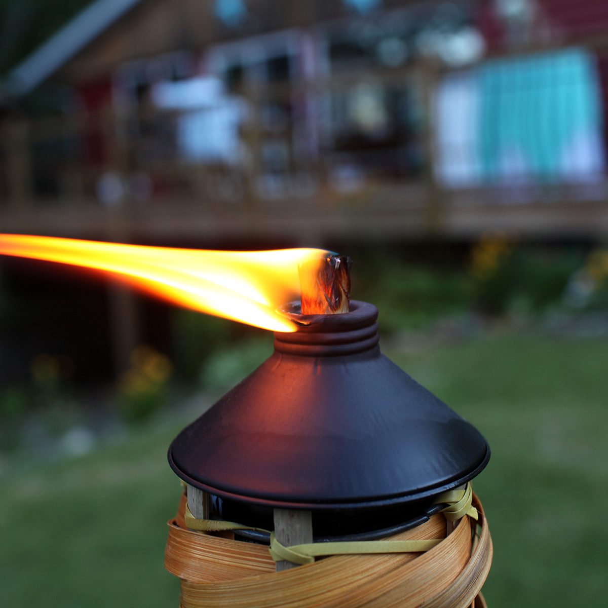 Tiki Torch Flame