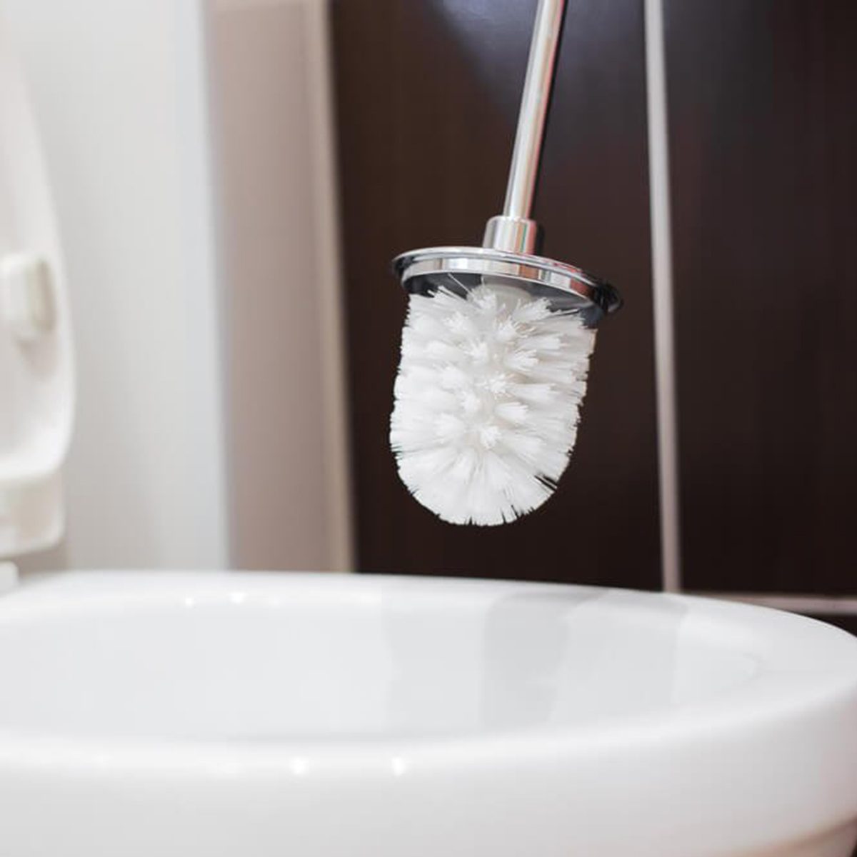 Toilet brush