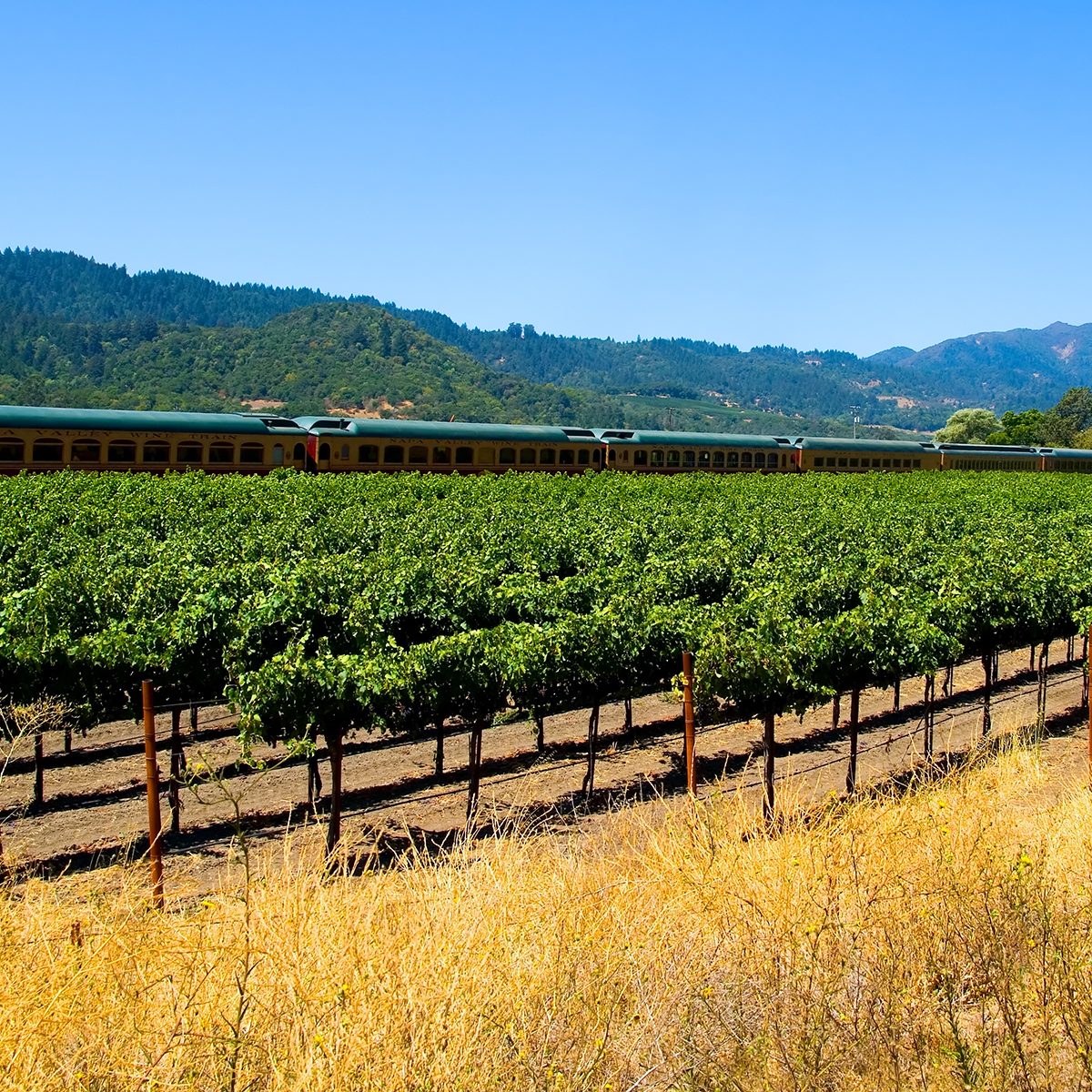 Tourist train in Napa Valley California