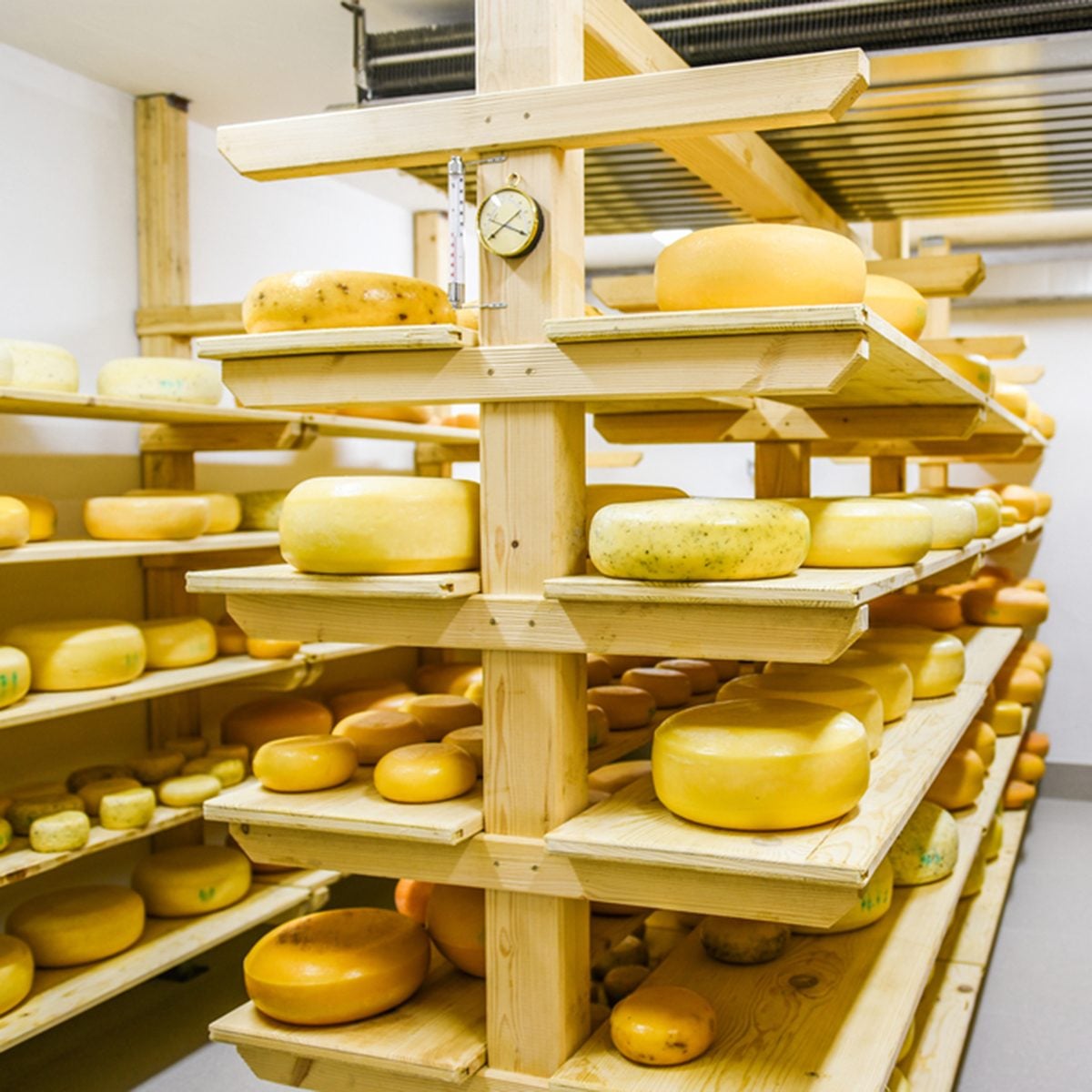 Dairy products (cheese, butter, cottage cheese, sour cream, yogurt) decorated, sliced, exhibited on wooden table in the kitchen.