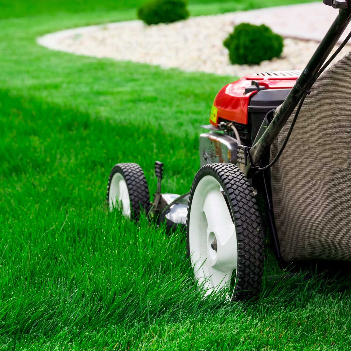 15 Things You Shouldn’t Do To Your Lawn