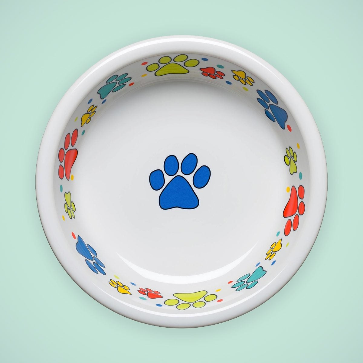 fiesta dog bowl
