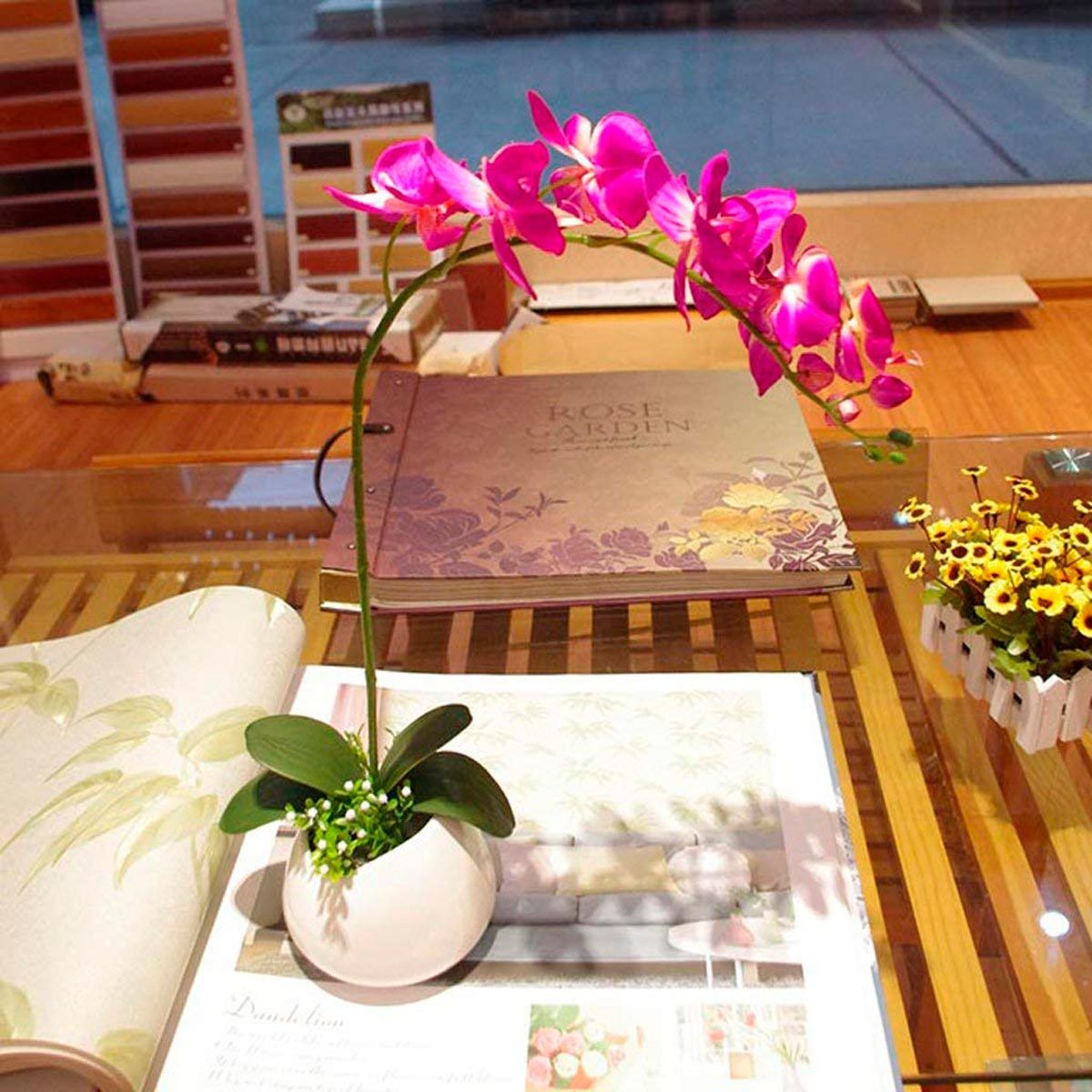 Orchid