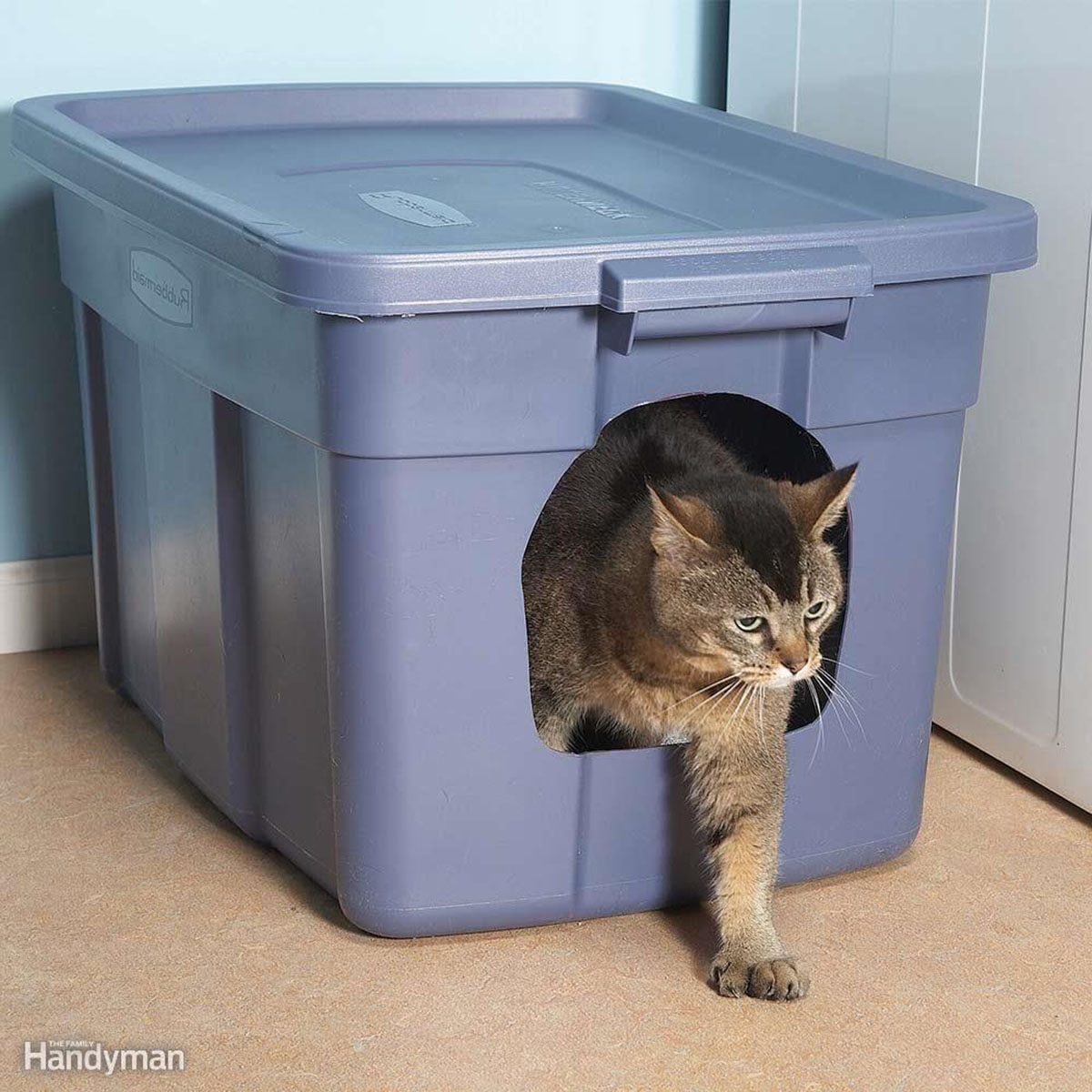 Kitty coming out of a tub turned into a litterbox