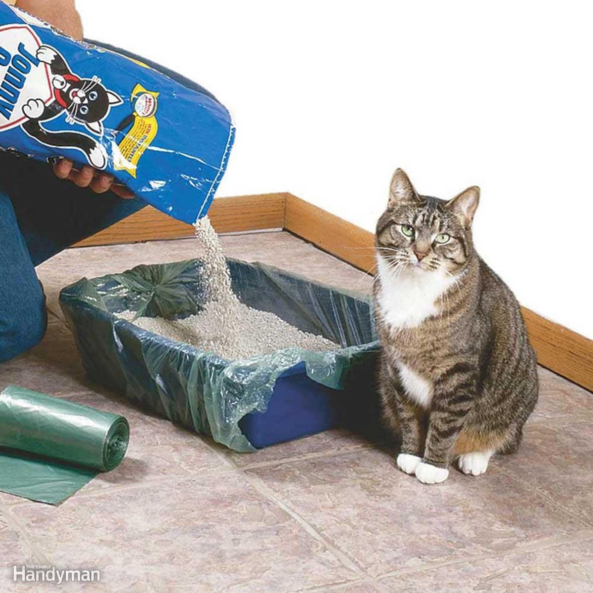 Pouring kitty litter