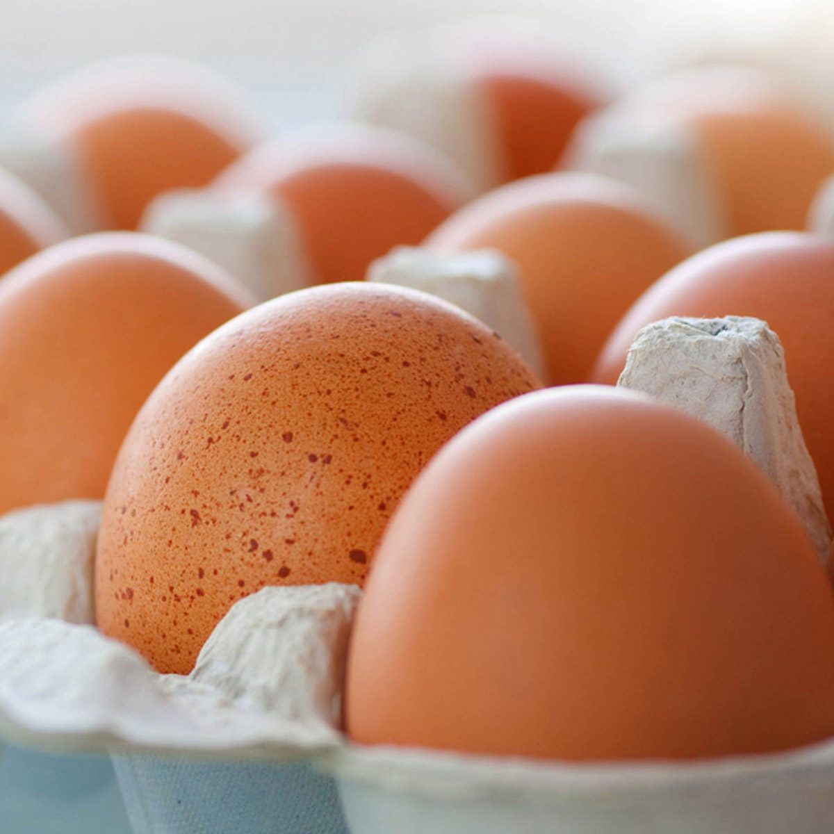 Carton of eggs