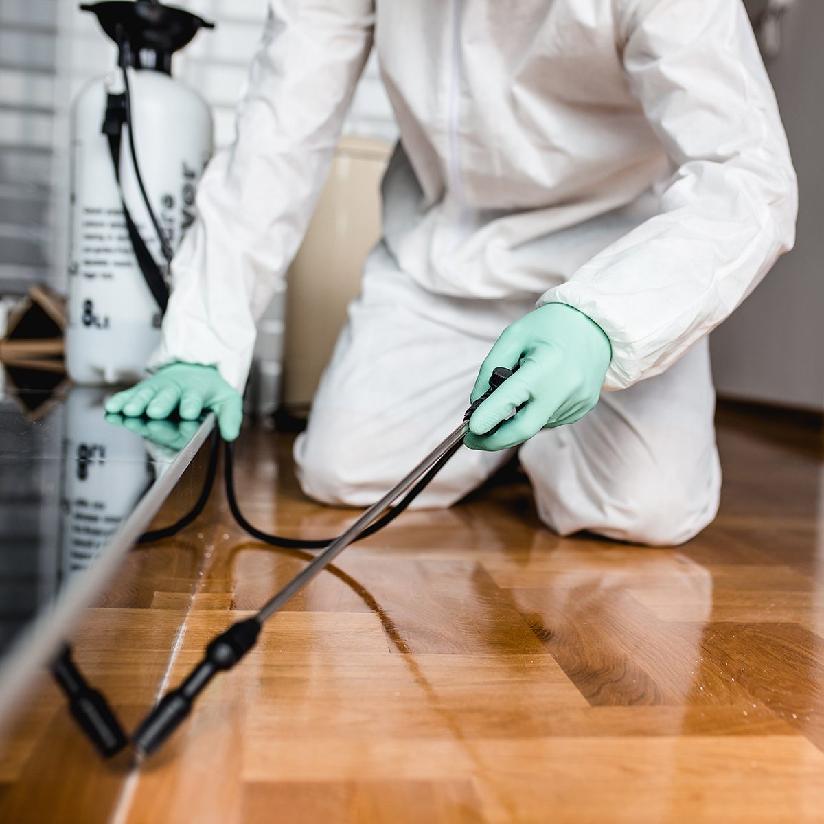 exterminator