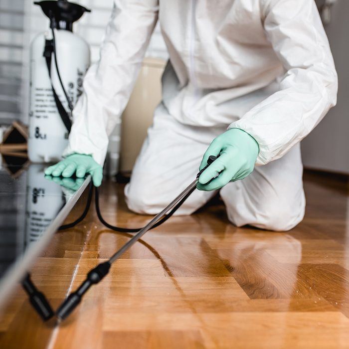 exterminator