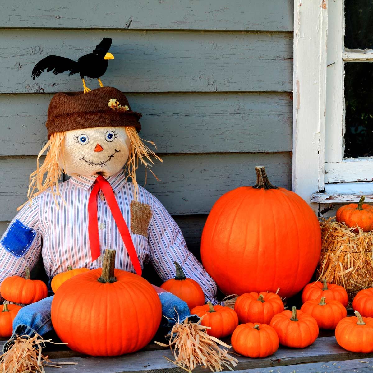 Scarecrow