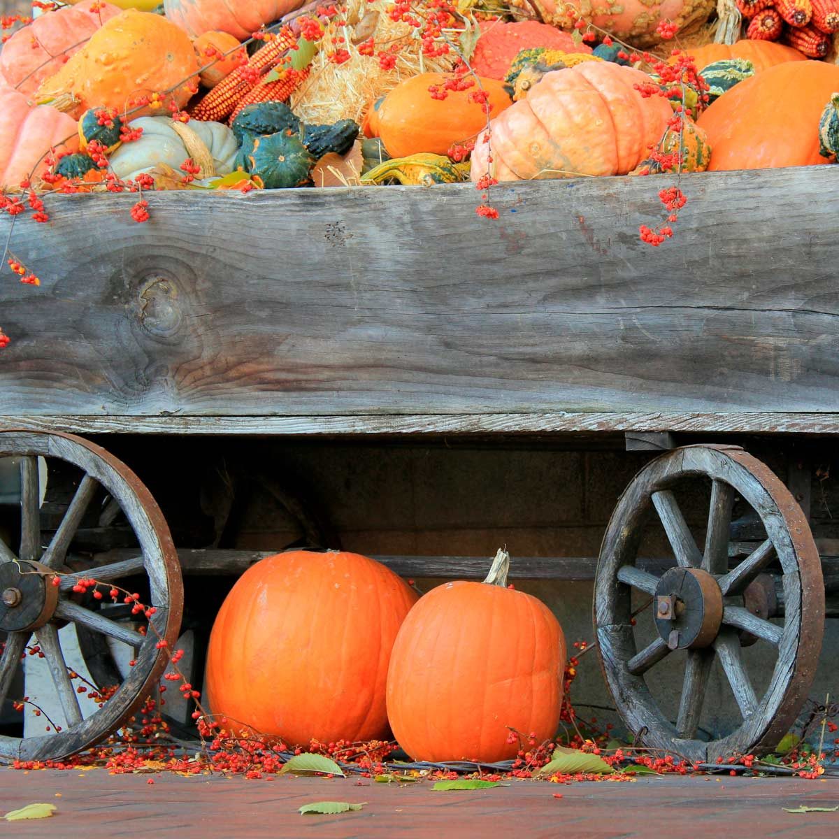 wagon
