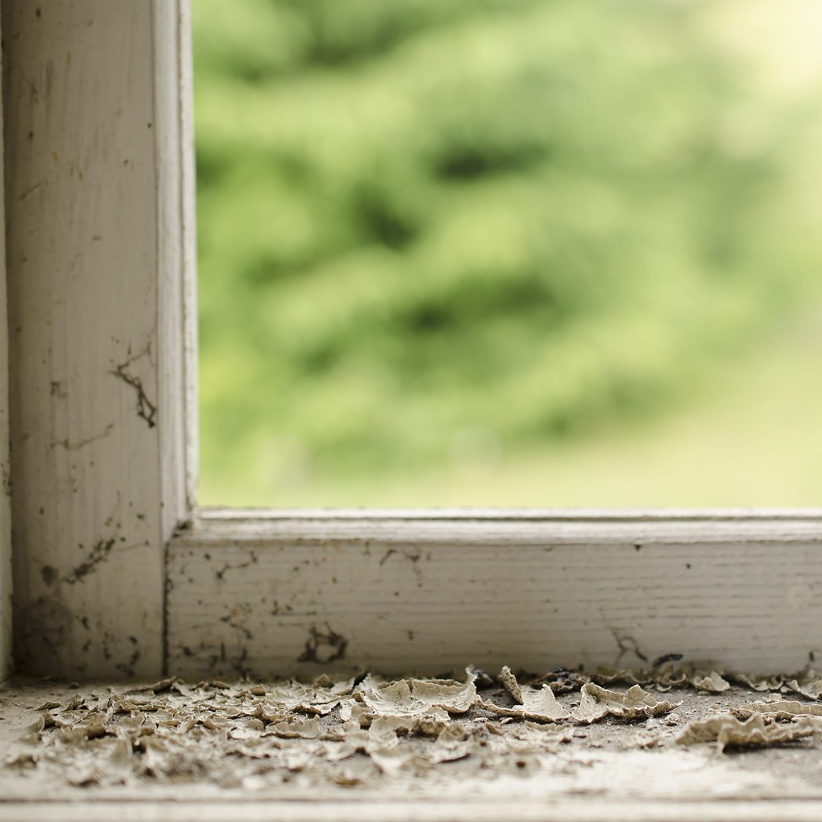 old window sill