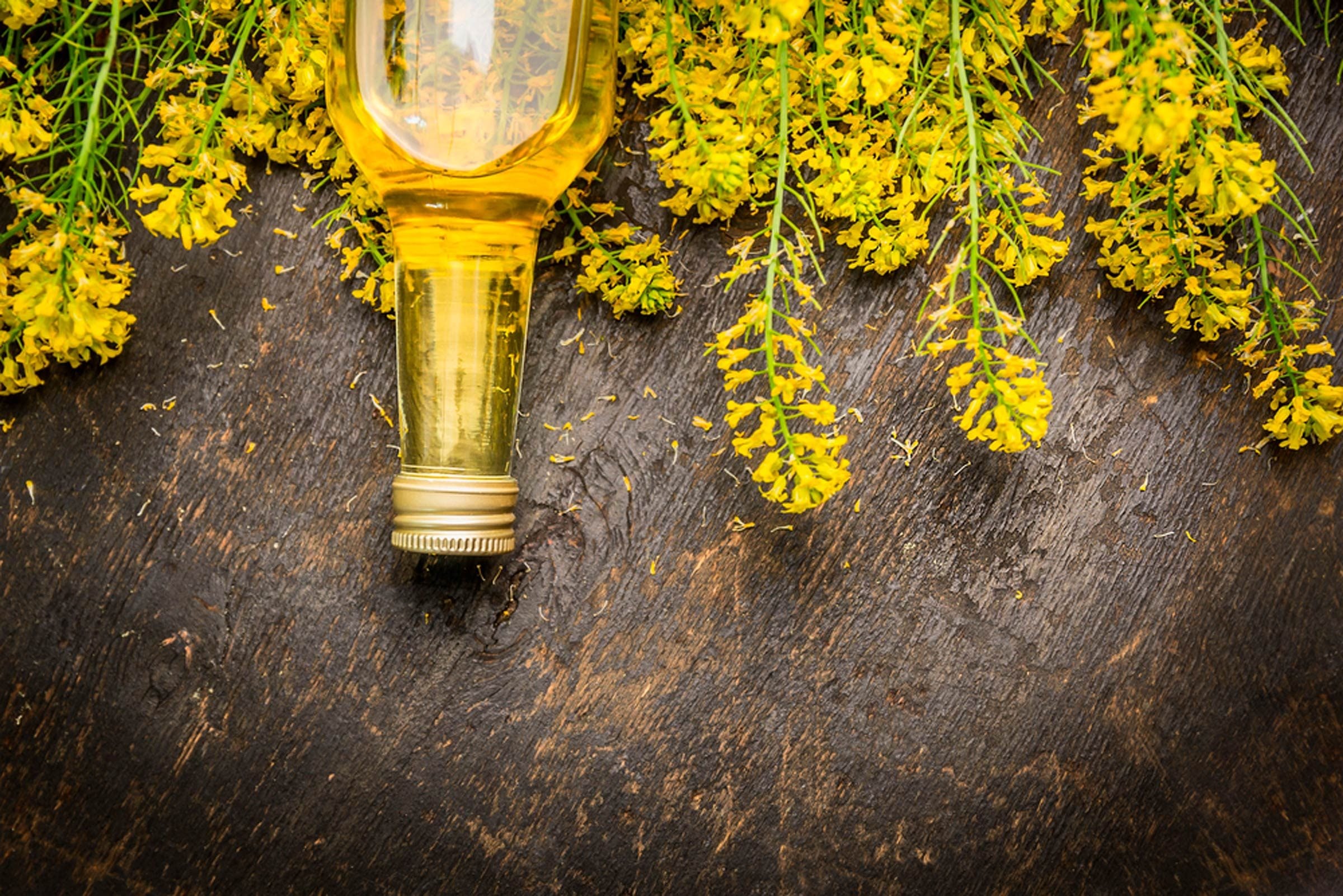 “Canola” in Canola Oil Has Been an Acronym This Whole Time