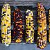 Here's Where to Find Festive Glass Gem Corn